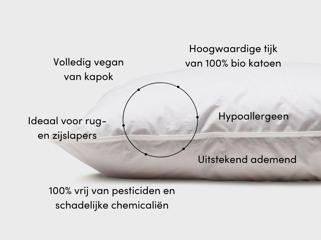 Kussen kapok 40x80 medium